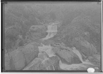 Looking up Big Creek from W. Bank of San Joaquin River