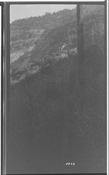 Big Creek Scenery - Mammoth Pool