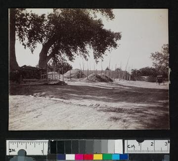 Unidentified scene in a pueblo or settlement