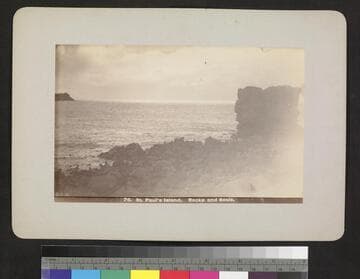 St. Paul's Island. Rocks and seals