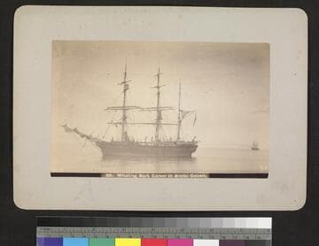 Whaling bark Carver in Arctic Ocean