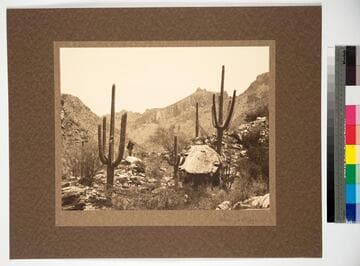 Catalina Mountains, Arizona