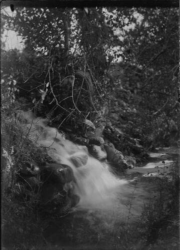 View of roaring stream, Seminole Nation, Indian Territory