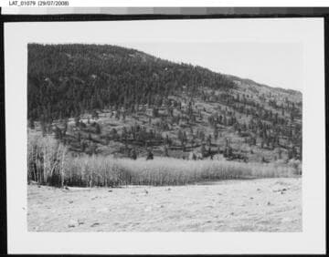 "No. 3 along edge of timber line X-Y" at Vermejo Ranch