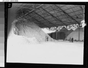 Seed mountains at Cal-Mex Ranch
