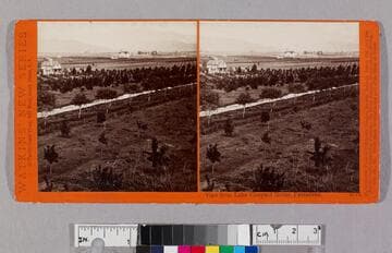 View from Lake Vineyard House, Pasadena