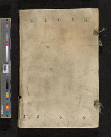 Feldtbüch der wundartzney