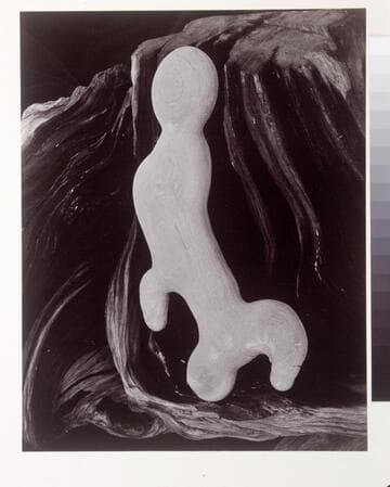 Sandstone Concretion and Juniper Stump