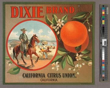 Dixie brand