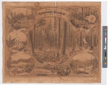 Scenery on the Redwood branch of the S.F. & N.P.R.R. Sonoma Co. California