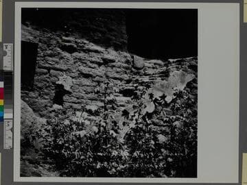 The choir climb the stairs no more. Mission San Fernando