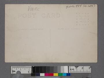 Souvenir portrait of men in bathing suits, made at Venice, California