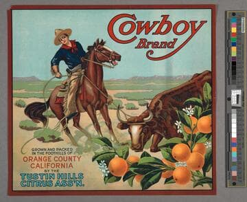 Cowboy Brand