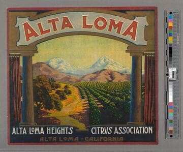 Alta Loma