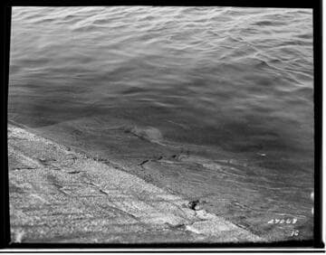 Borel Powerhouse - Borel Canal