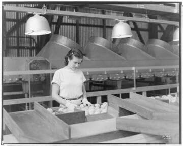 L1.8 - Lighting, Packing Plants - Orange Packing plant at Camarillo