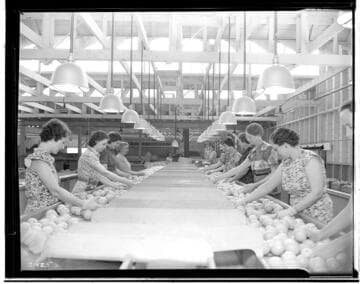 L1.8 - Lighting, Packing Plants - Santa Ana-Tustin Citrus Association