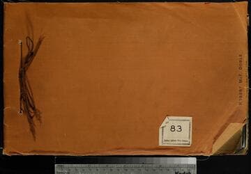 Kaweah Hydro Plants 1 & 2