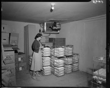 Crates of eggs in cold storage at PCA Eggs