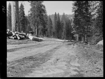 Big Creek - Mammoth Pool - General view of trailer court area