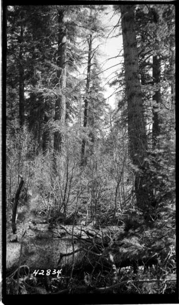 Big Creek, Vermilion Dam