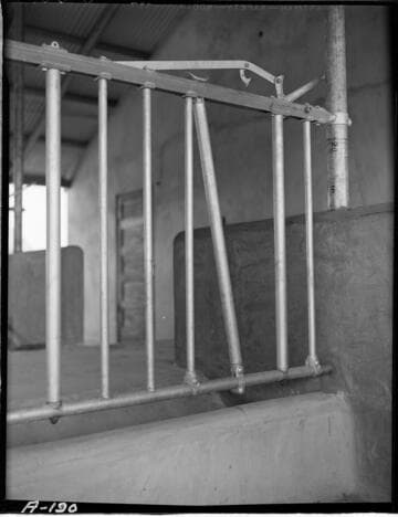 Dairy Booklet photos