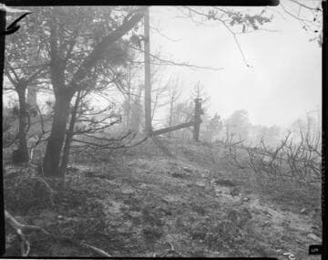 San Bernardino wildfire in 1956