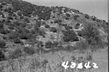 Big Creek, Mammoth Pool