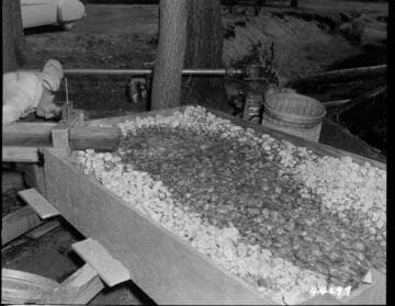 Big Creek, Vermilion Dam - Discharge end of Model Spillway