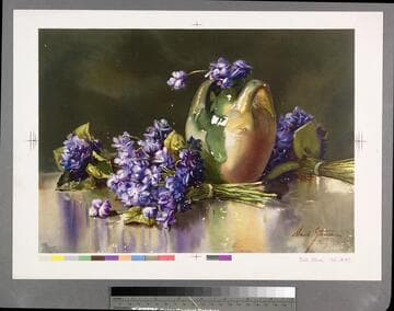 [Purple flowers on table and in ceramic vase]