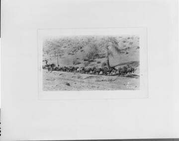 Hauling the turbine scroll case to Borel Hydro Plant in 1912, during the reconstruction of the water turbines