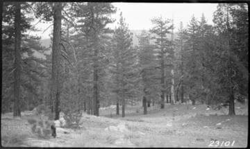 Big Creek, Miscellaneous - Vermilion Valley