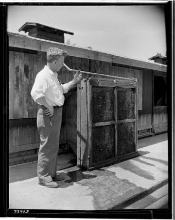 Fontana Farms, Fontana