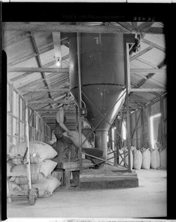 D1 - Dairy - Electrical Times Dairy Series