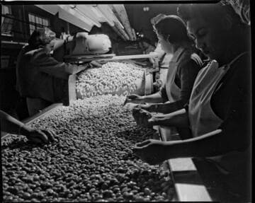 Electrified industry