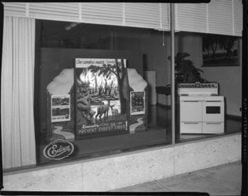 Local Office display window