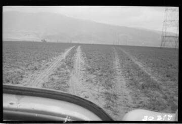 Vincent Transmission Line - South side, Tower 13-3