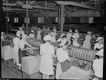 Industrial - West Coast Packing Corp. (packing room)