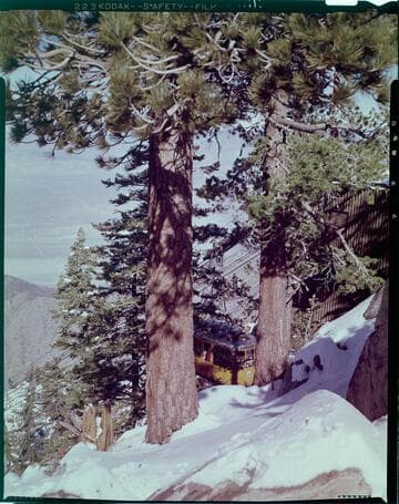 Palm Springs Aerial Tramway