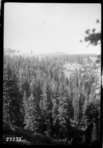 Big Creek, Fish Valley - Fish Creek