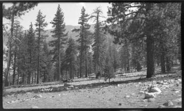 Big Creek General - Hooper Creek