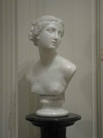 Head of a Young Girl