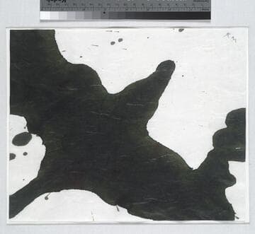 Lyric Suite [D65-1651]