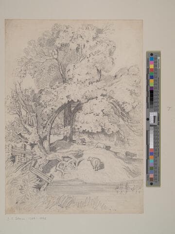 Sheep Under the Trees