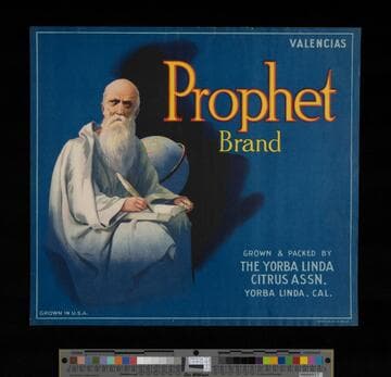 Prophet Brand