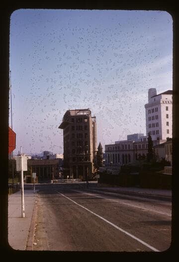 International Bank Building going down