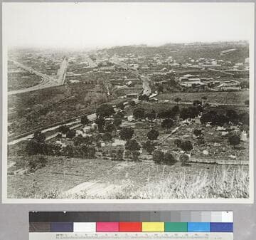 Los Angeles from hill North of Catholic Cemetery above Bishop St., before 1874