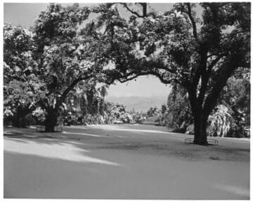 North vista of the San Marino ranch after snowfall, January 11 1949