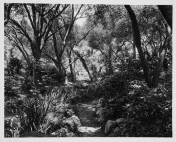 Japanese garden path, circa 1916