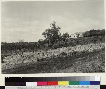 Desert garden, general view, 1914